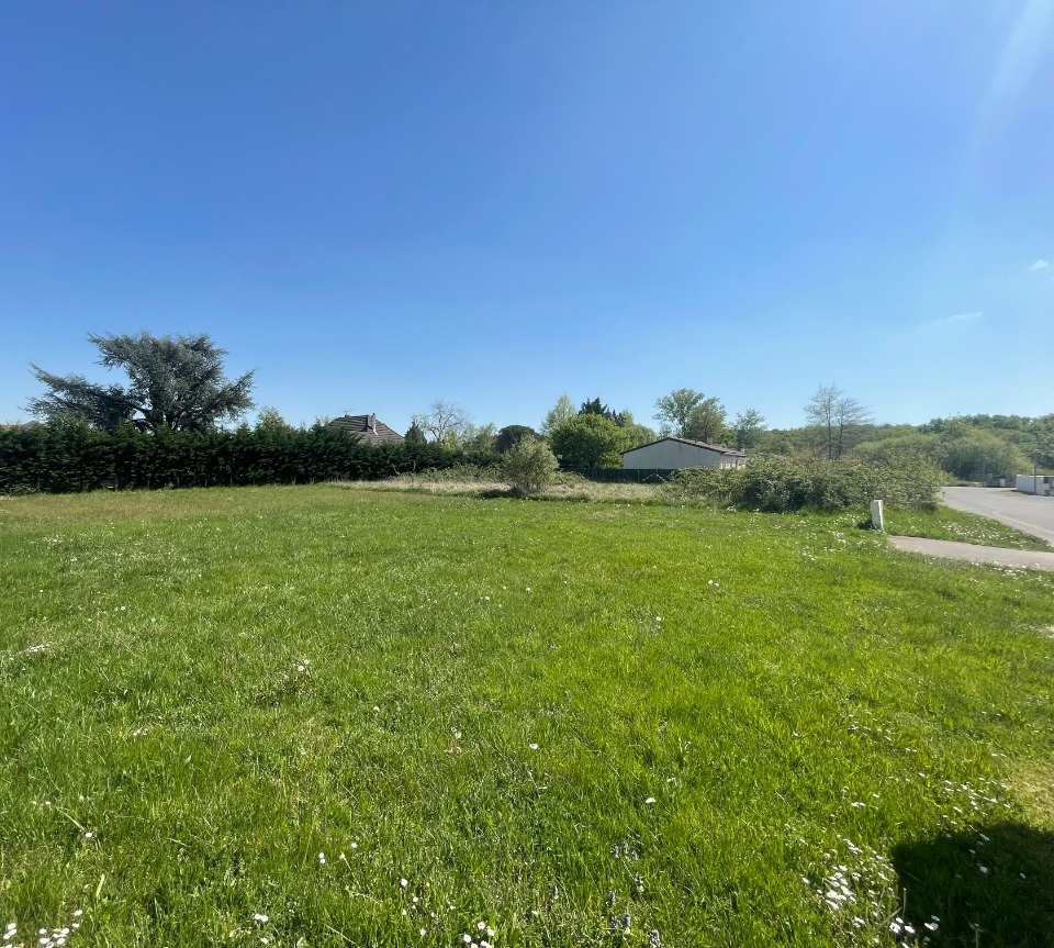 DL2147089 - Terrain/Terre - Saint-Seurin-sur-l'Isle