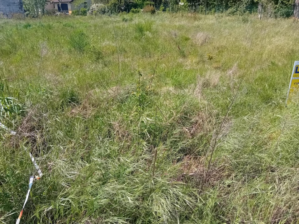JT2147155 - Terrain/Terre - Arès