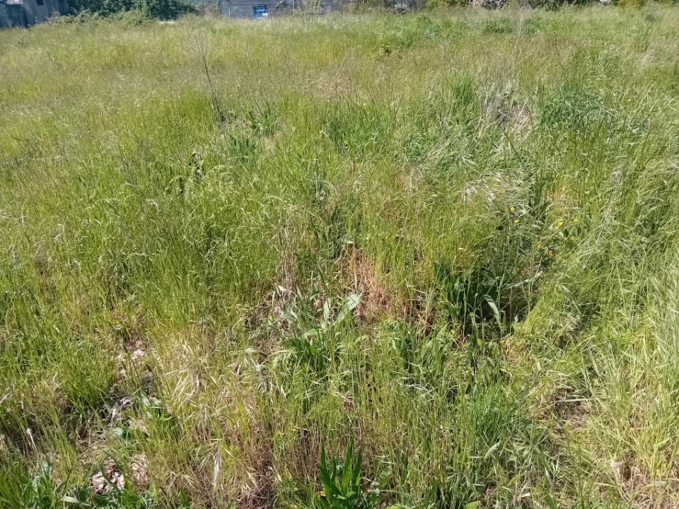 Programme immobilier neuf JT2147155 - Terrain/Terre - Arès