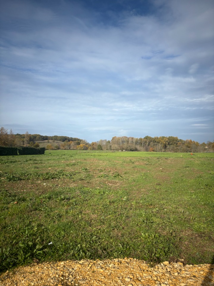 RG2144696 - Terrain/Terre - Flaugeac