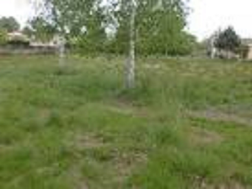 LC2147746 - Terrain/Terre - Salles