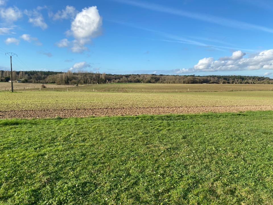 VC2148341 - Terrain/Terre - Meschers-sur-Gironde
