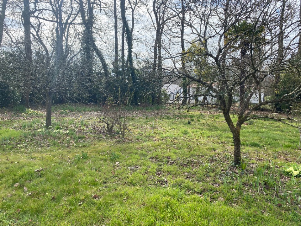 VC2148353 - Terrain/Terre - Breuillet