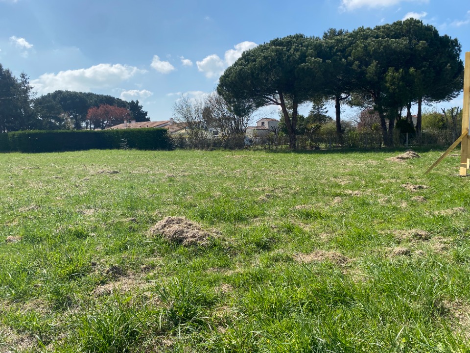 VC2148361 - Terrain/Terre - Saint-Augustin