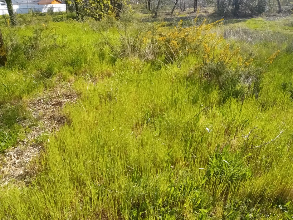 JT2148655 - Terrain/Terre - Gujan-Mestras