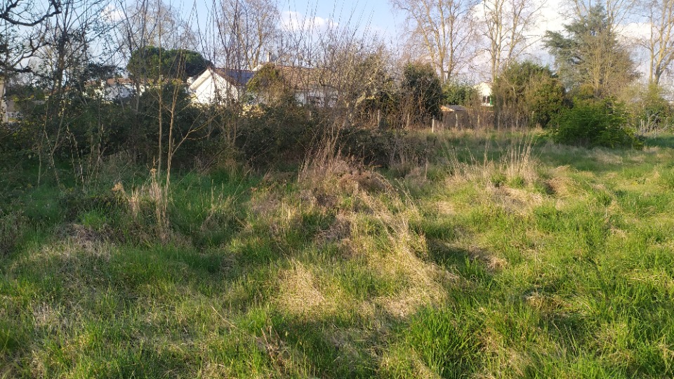 BV2149017 - Terrain/Terre - Podensac