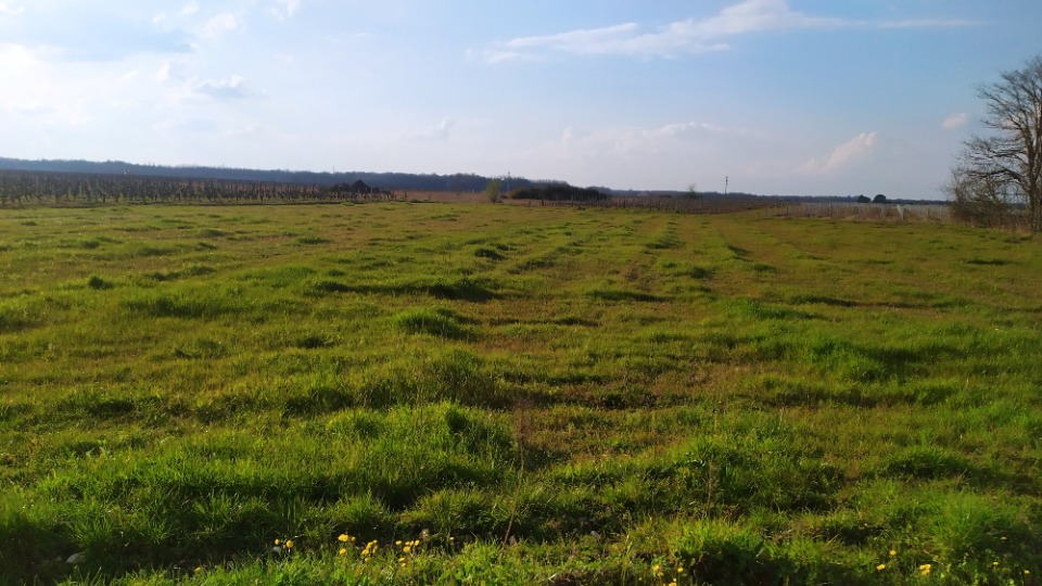 BV2149044 - Terrain/Terre - Cérons