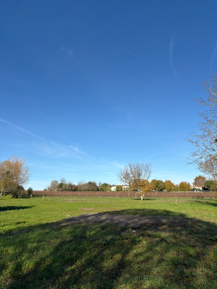 GEfargues430-0 - Terrain/Terre - Fargues-Saint-Hilaire