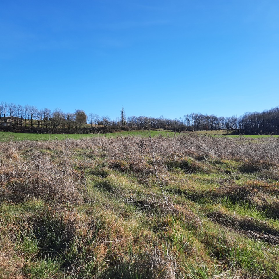 BD2149416 - Terrain/Terre - Bergerac