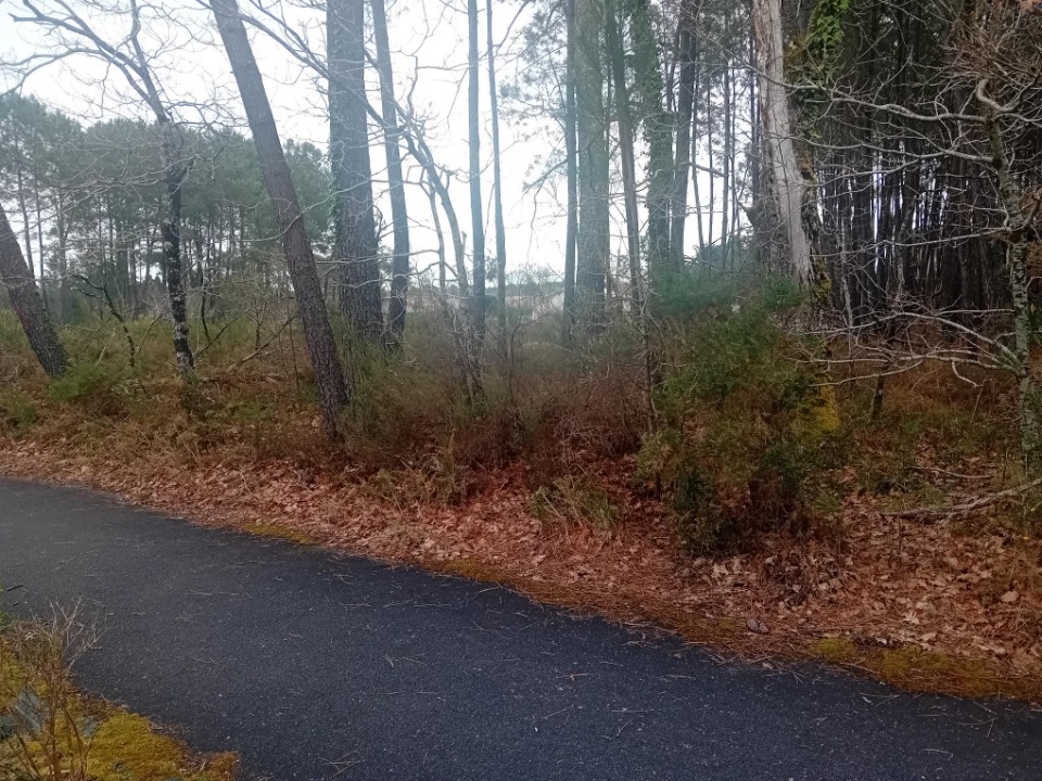 JT2149644 - Terrain/Terre - Gradignan