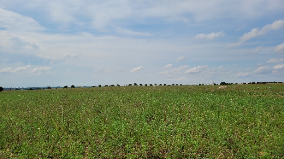 Programme immobilier neuf JT2149416 - Terrain/Terre - Andilly