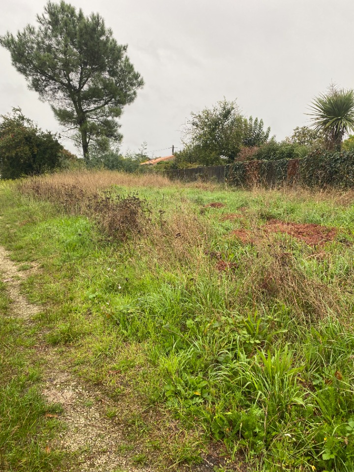 JR2149974 - Terrain/Terre - Arsac