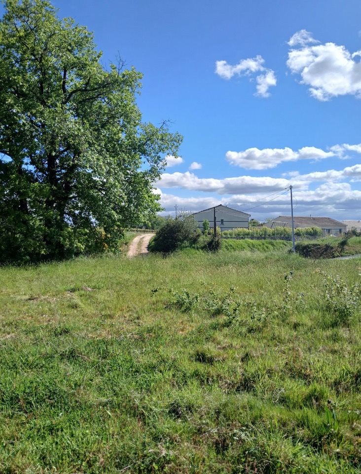 TJ2150308 - Terrain/Terre - Créon
