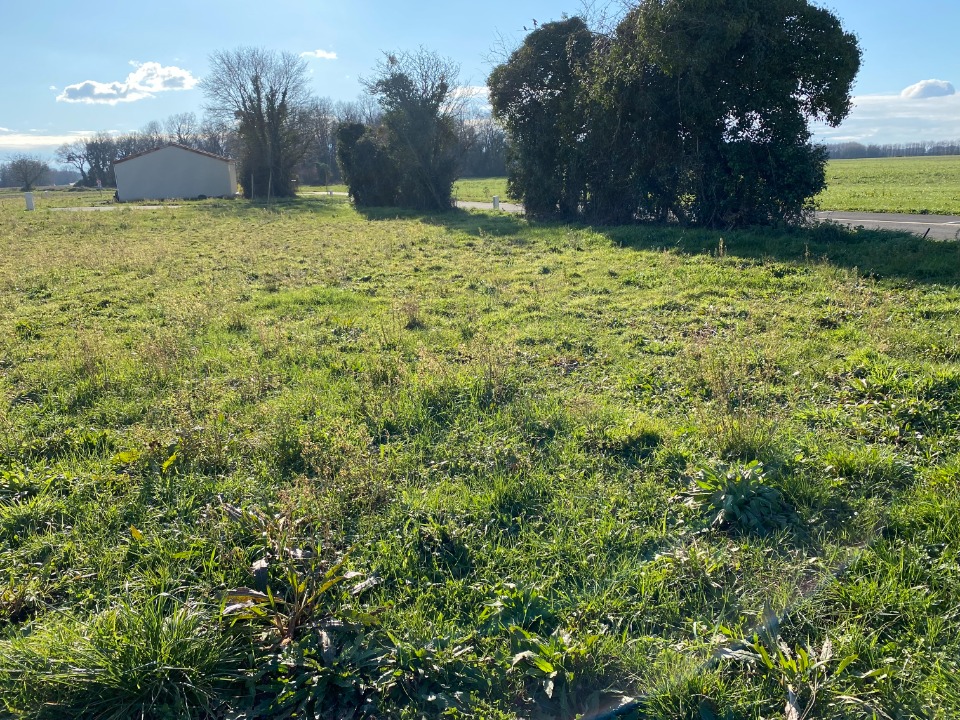Photo CR2150867 - Terrain/Terre - Pisany image 3/3