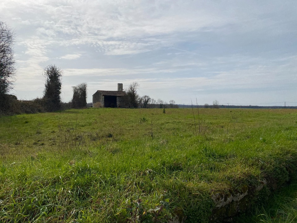 CR2150934 - Terrain/Terre - Plassay