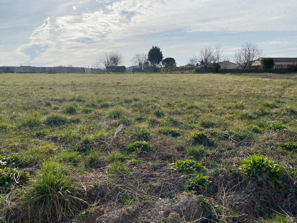 CR2150963 - Terrain/Terre - Thénac