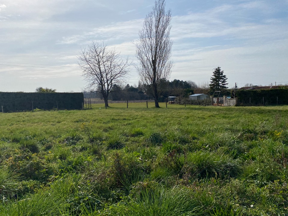 Photo CR2150963 - Terrain/Terre - Thénac image 3/3