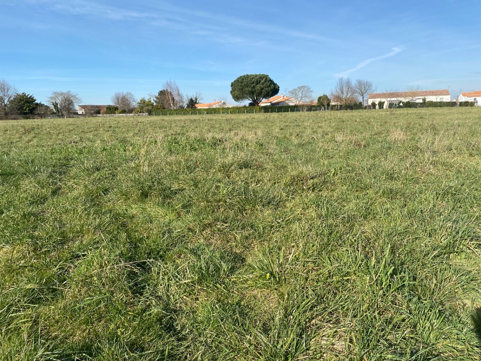 Photo CR2151222 - Terrain/Terre - Corme-Royal image 2/3