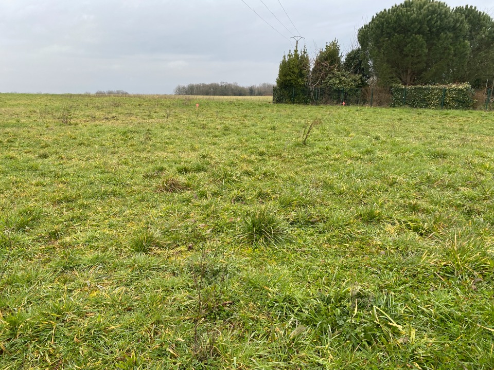 Programme immobilier neuf CR2151241 - Terrain/Terre - Taillebourg