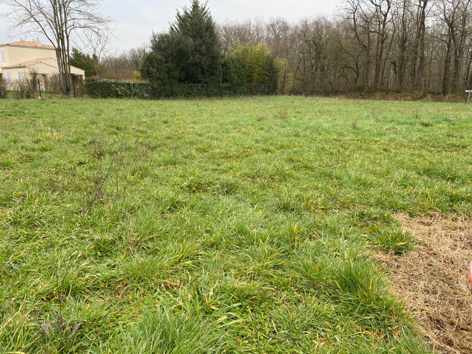 Programme immobilier neuf CR2151241 - Terrain/Terre - Taillebourg