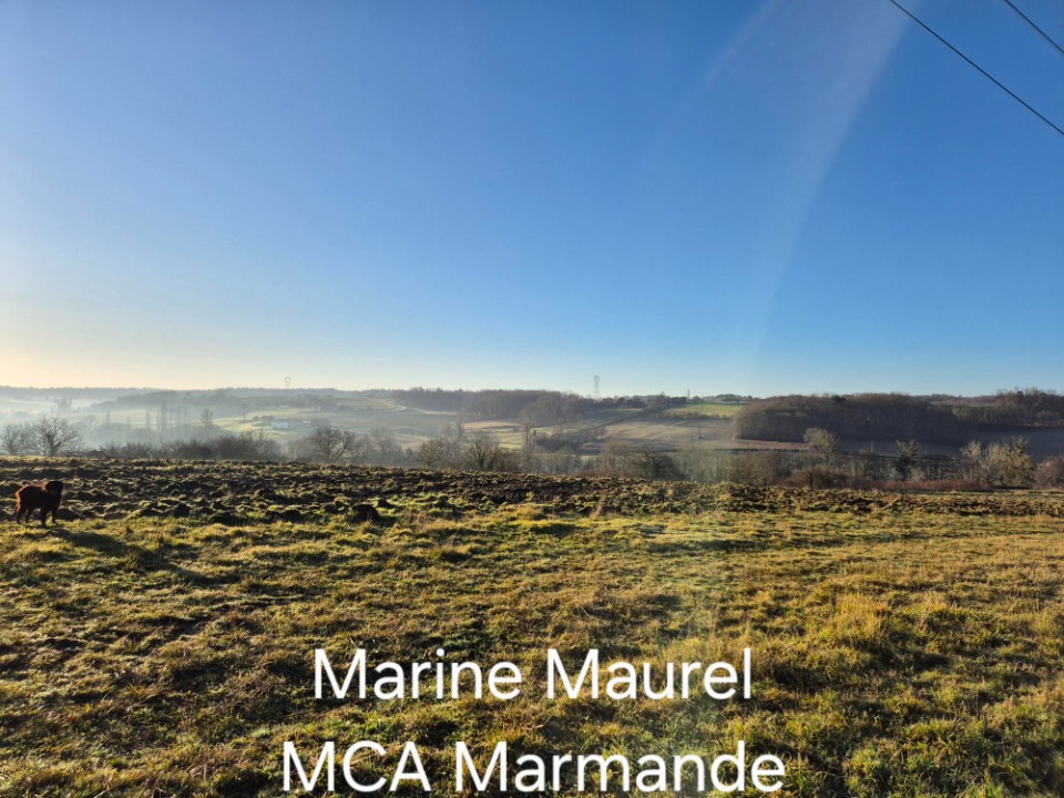 MM2151303 - Terrain/Terre - Sainte-Gemme
