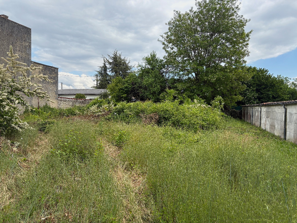 Photo VB2151416 - Terrain/Terre - Cognac image 3/5