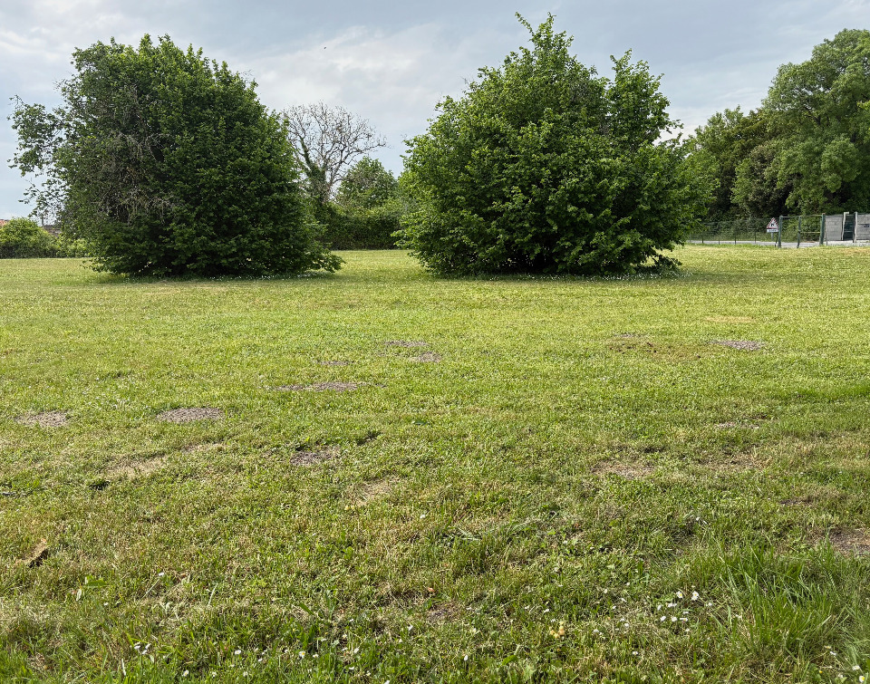 Photo VB2151664 - Terrain/Terre - Cognac image 1/4
