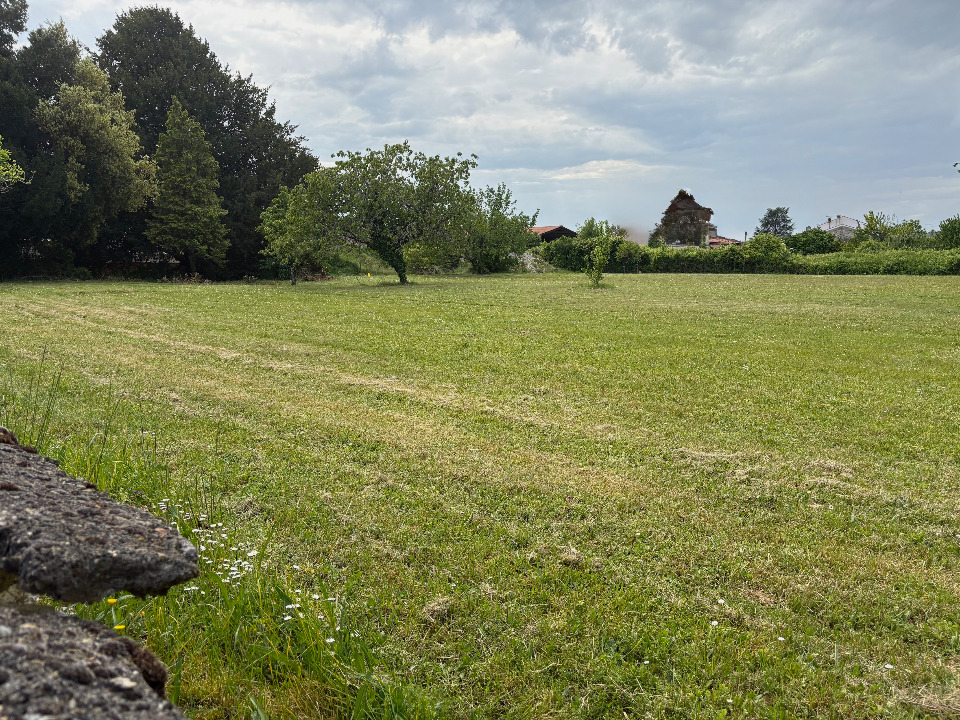 Photo VB2151664 - Terrain/Terre - Cognac image 2/4
