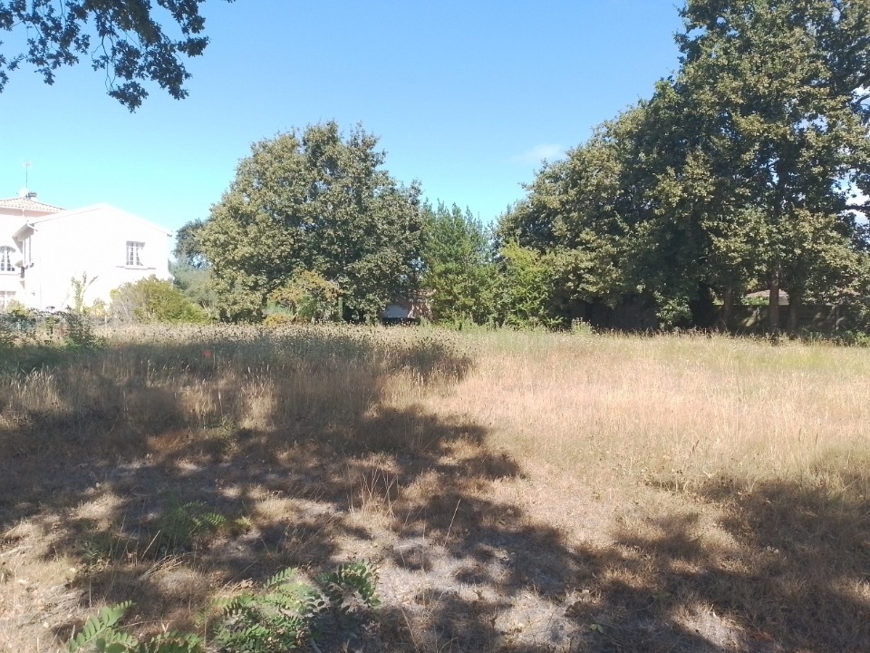 VB2152447 - Terrain/Terre - Audenge