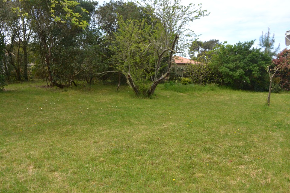 VB2152508 - Terrain/Terre - Cazaux