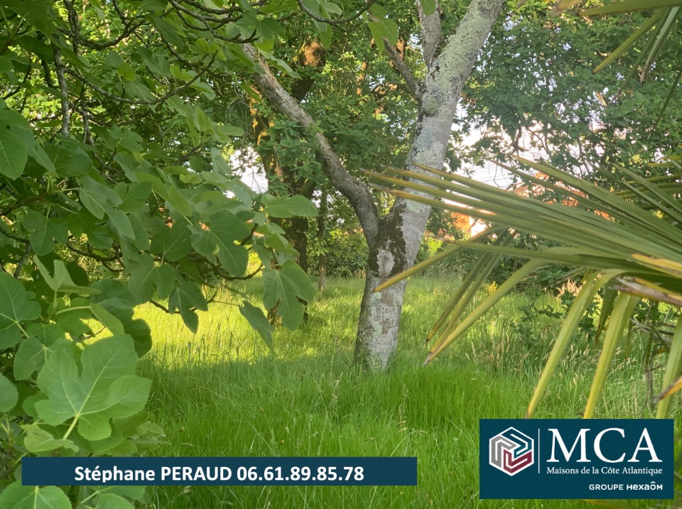 SP2153104 - Terrain/Terre - Port-de-Lanne
