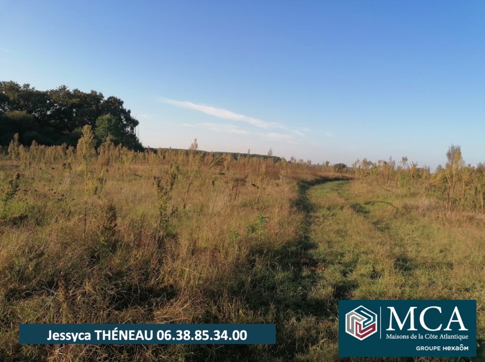 JT2153284 - Terrain/Terre - Préchacq-les-Bains