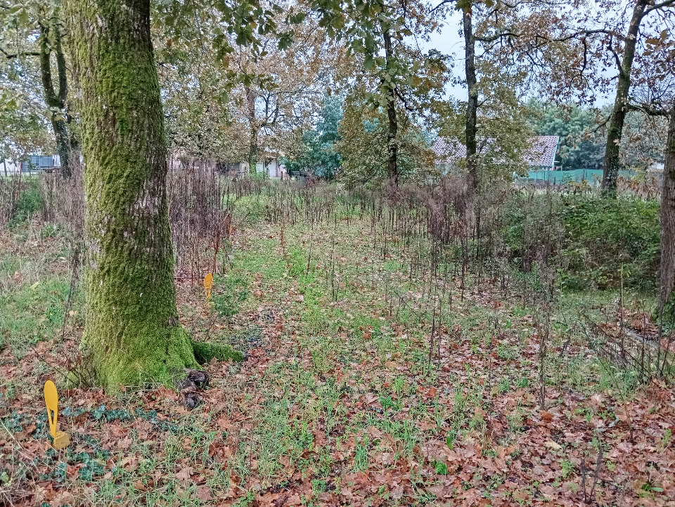 RVBIGGG400-3 - Terrain/Terre - Biganos