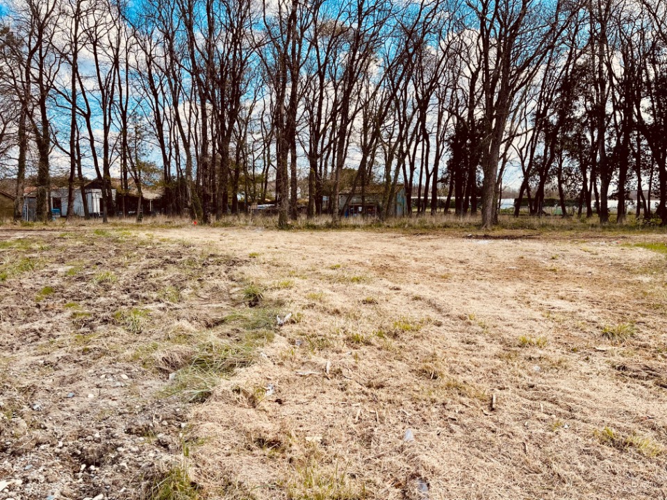 GR2154456 - Terrain/Terre - Loire-les-Marais