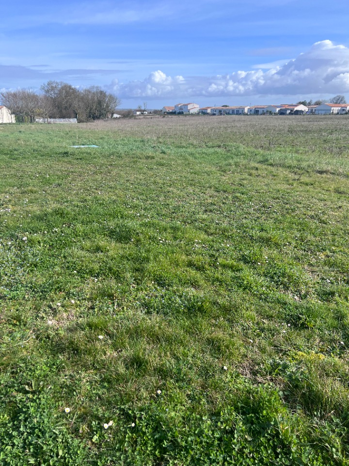 CR2154743 - Terrain/Terre - Port-des-Barques