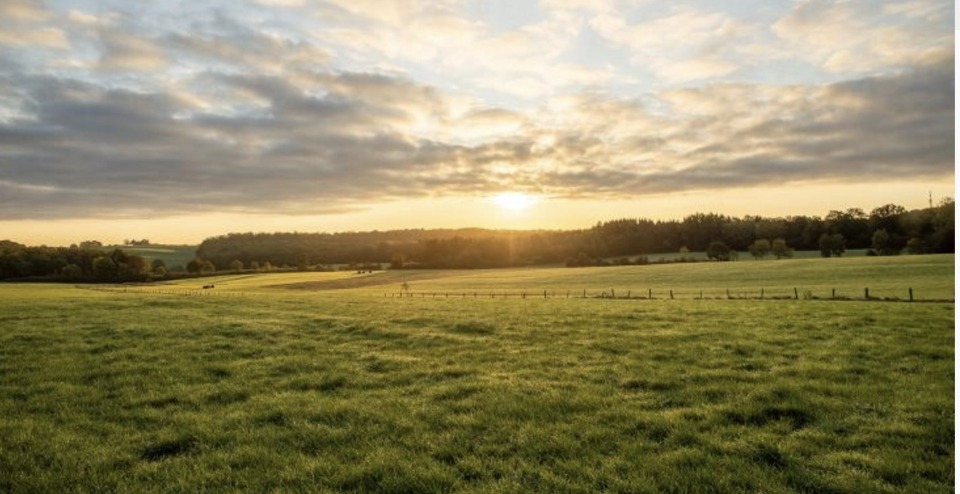 PG2155160 - Terrain/Terre - Gradignan
