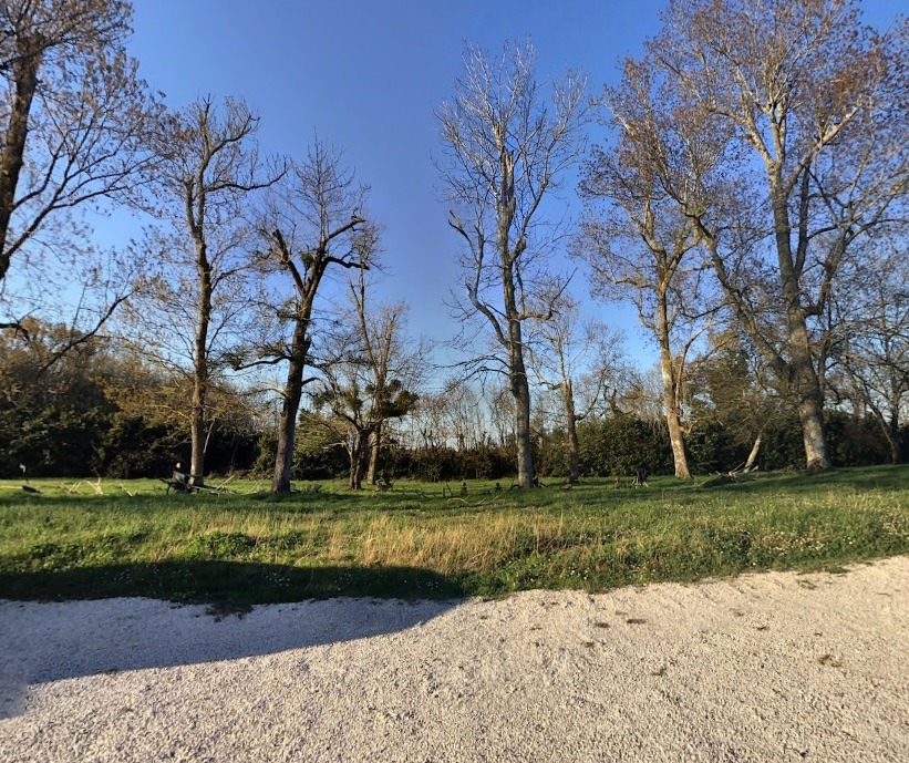 HM700CARI - Terrain/Terre - Bouliac