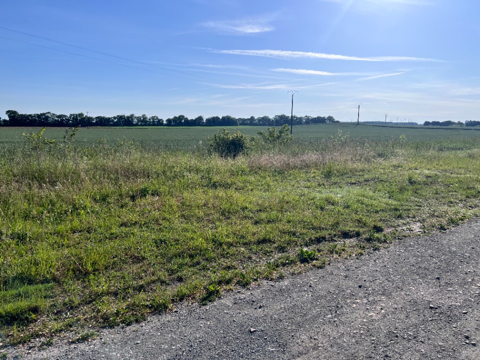 CR2156813 - Terrain/Terre - Le Thou