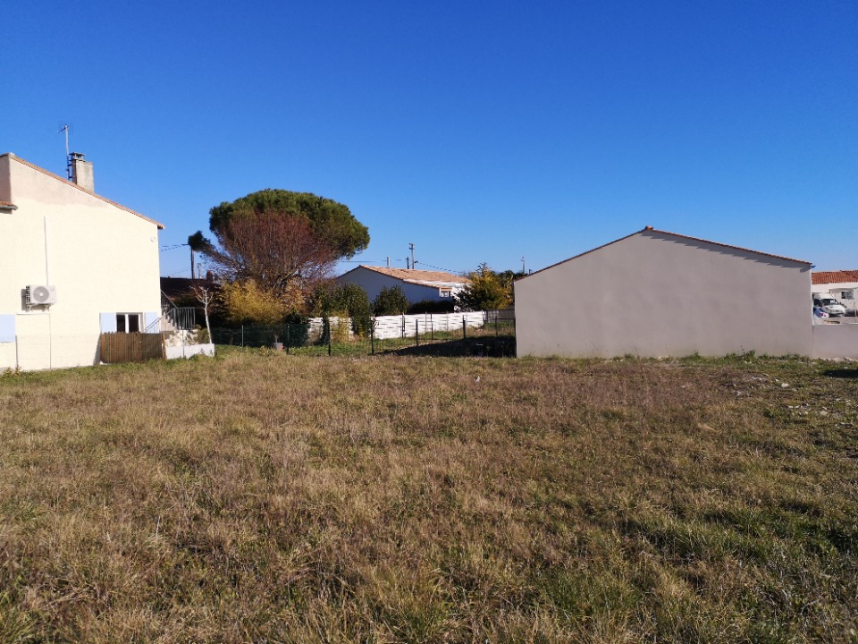 Photo EN2157100 - Terrain/Terre - Semussac image 3/3