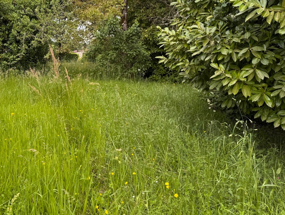 Photo AMSAINSELVE773 - Terrain/Terre - Saint-Selve image 1/1