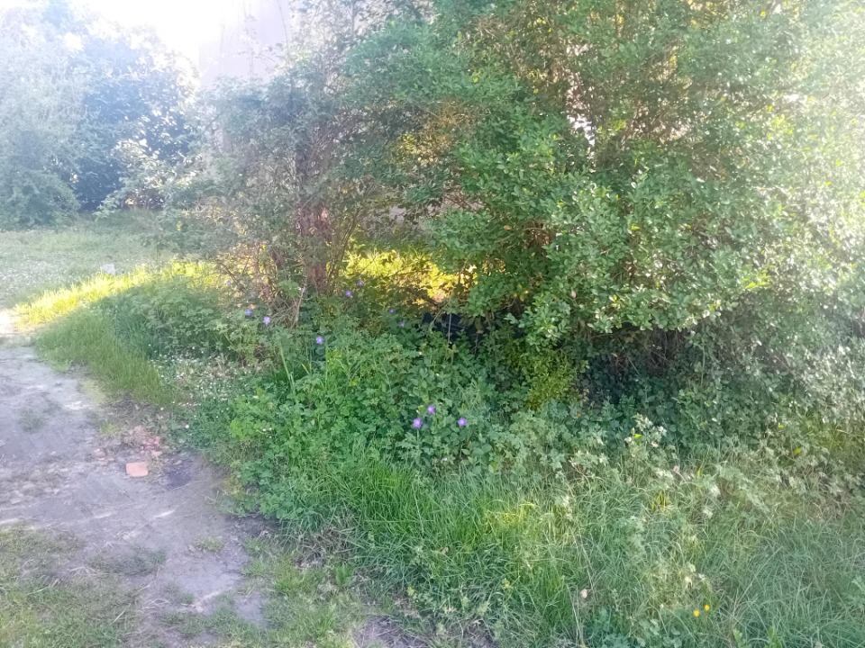 JT2157884 - Terrain/Terre - Marcheprime