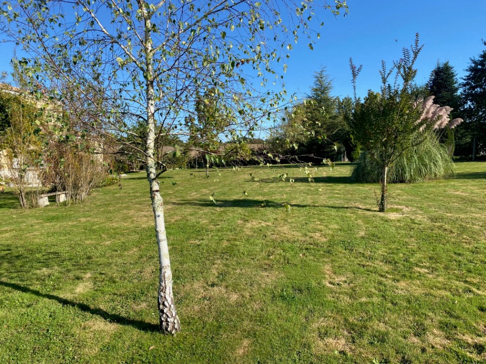 NZ2157940 - Terrain/Terre - Baron