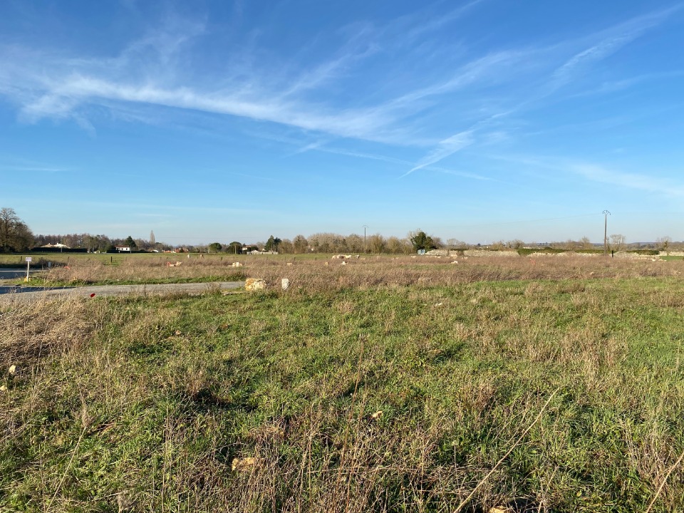Photo CR2157973 - Terrain/Terre - Port-d'Envaux image 1/3
