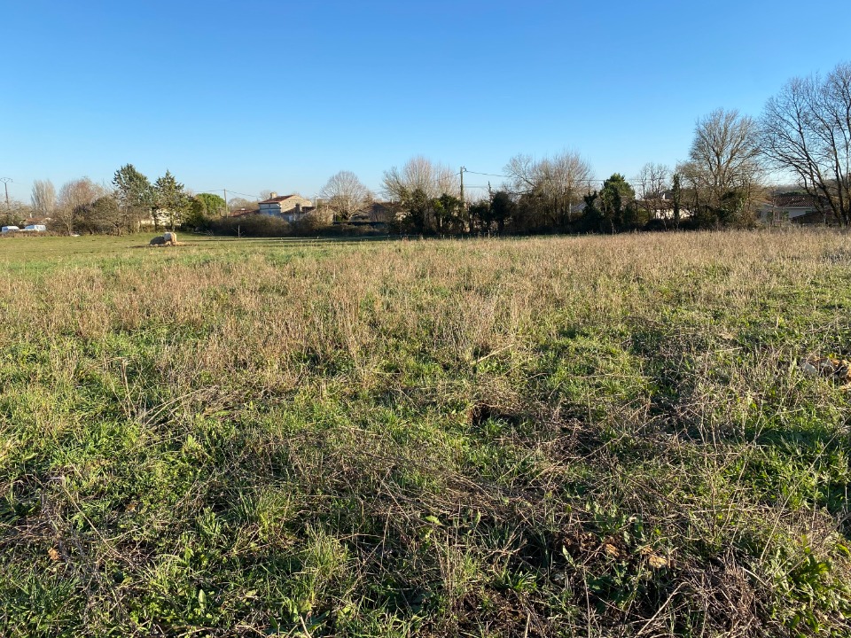 Photo CR2157973 - Terrain/Terre - Port-d'Envaux image 3/3