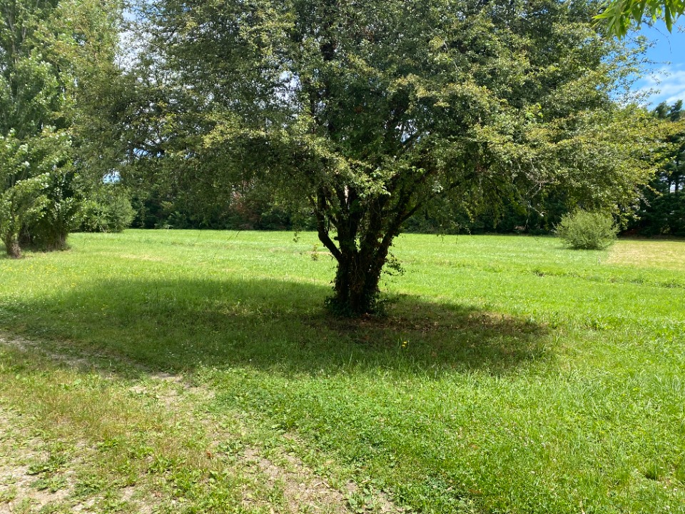 NZ2158037 - Terrain/Terre - Fargues-Saint-Hilaire