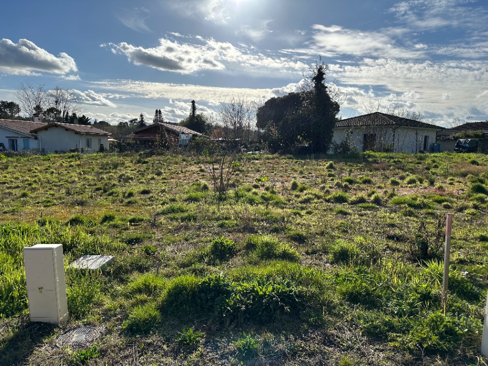QDMARTILLAC550-4 - Terrain/Terre - Martillac