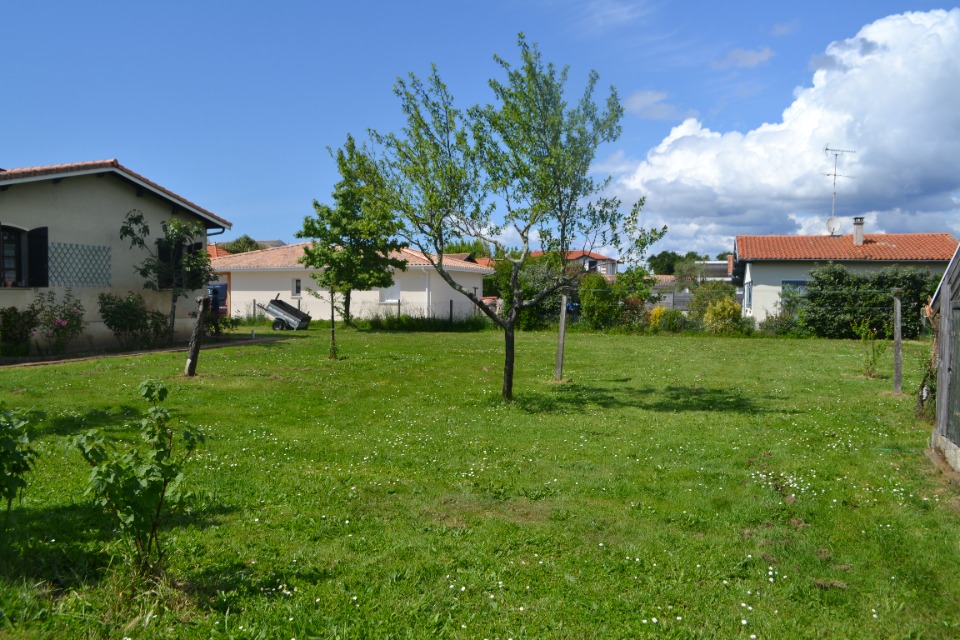 Photo VB2158385 - Terrain/Terre - Gujan-Mestras image 3/3
