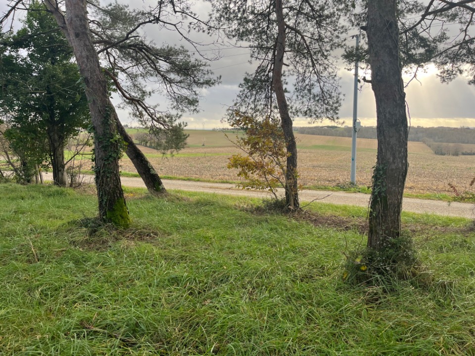 Photo AL2158421 - Terrain/Terre - Escassefort image 1/2