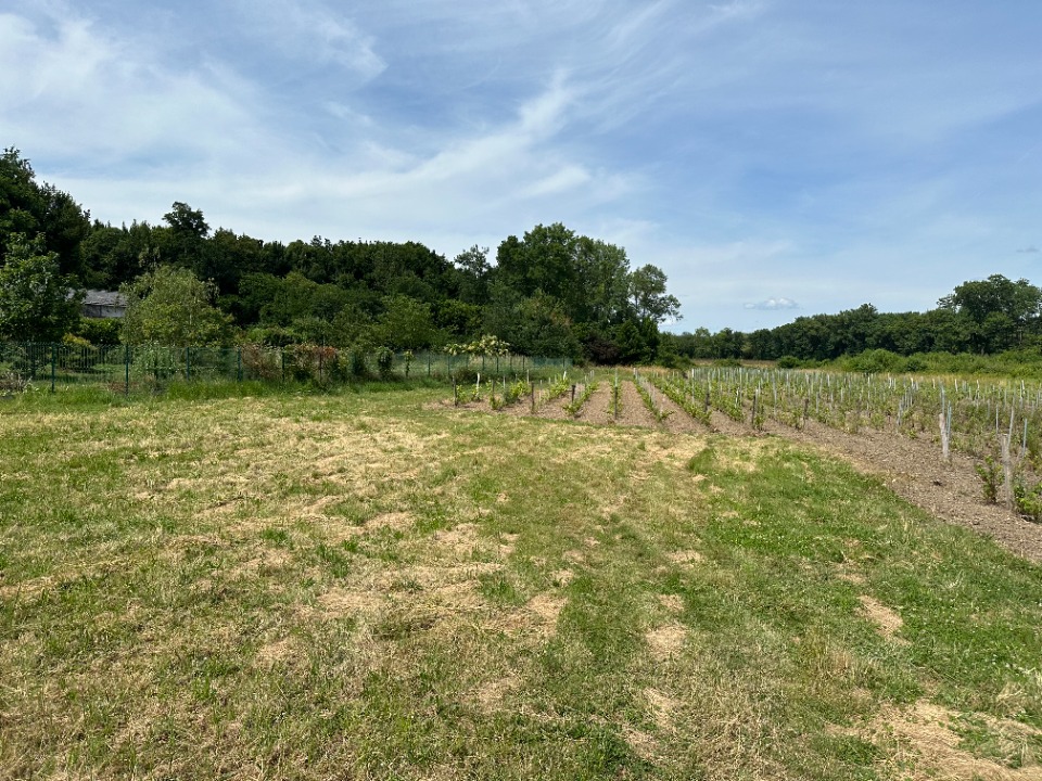 QDPORTETS800 - Terrain/Terre - Portets