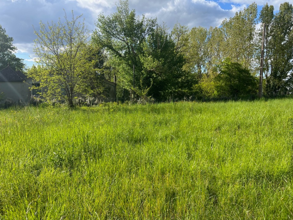 AL2158475 - Terrain/Terre - Casteljaloux